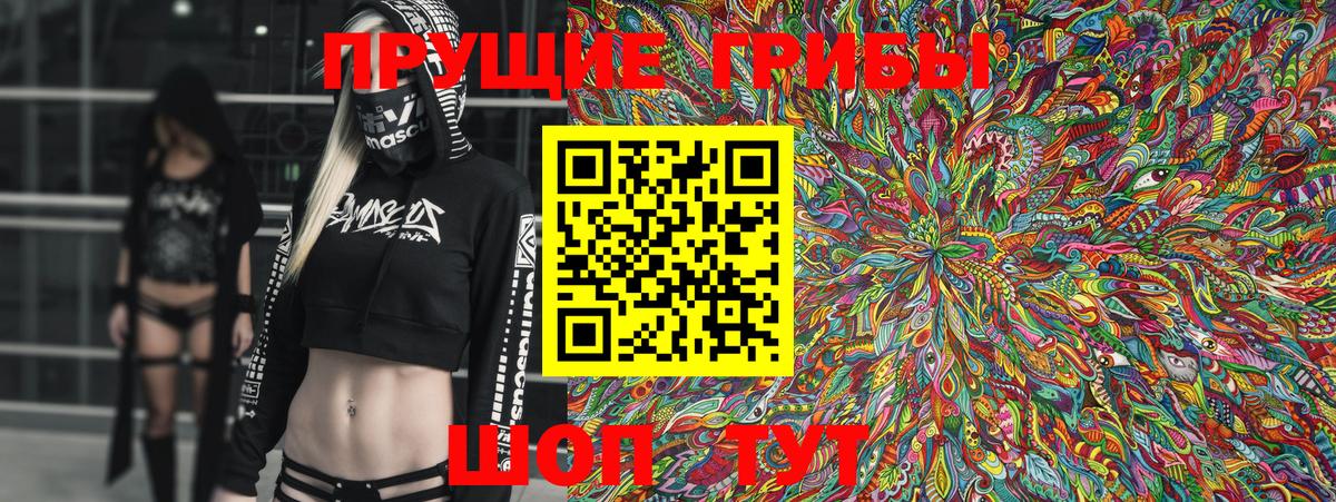 Людиново  Галлюциногенные грибы Psilocybine cubensis  Вход с VPN  Галлюциногенные грибы Psilocybine cubensis 